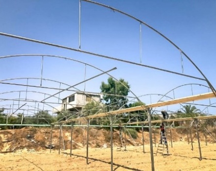 برنامج "تصدير" يقدم الدعم لمزارعي قطاع غزة من خلال إعادة بناء 19 دونماً من الدفيئات الزراعية 