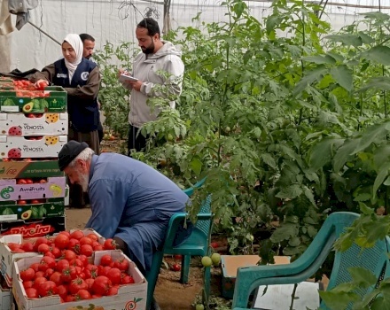 مبادرة التعافي الزراعي في غزة