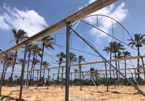 Tasdeer is supporting Gaza farmers in reconstructing 19 donums of damaged greenhouses