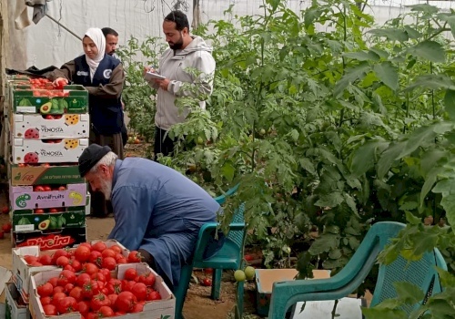 Video: Gaza Agricultural Recovery Initiative 