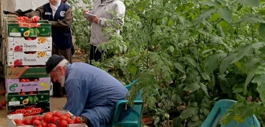 Video: Gaza Agricultural Recovery Initiative 