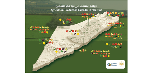 Agricultural Production Calendar in Palestine 